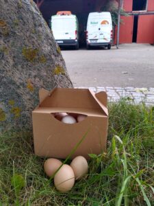Niedliche S-Eier
