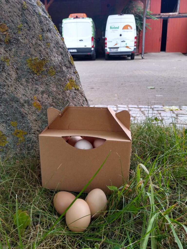 Niedliche S-Eier